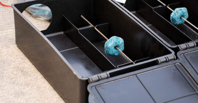 From Prevention to Eradication: What London Pest Control Companies Provide