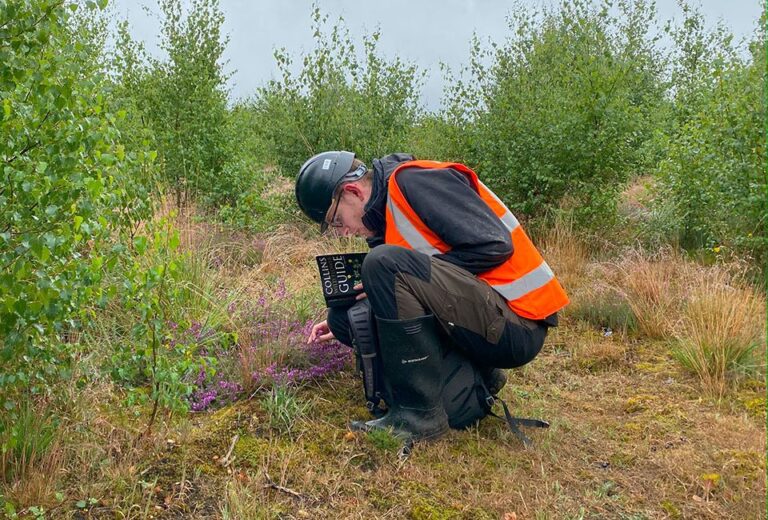 Ecological Surveys and Their Importance in Modern Planning Applications