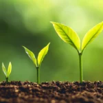 Carbon Offsetting UK: Balancing Emissions in a Changing World