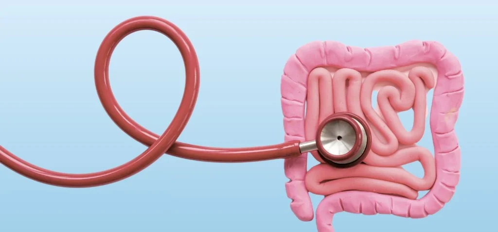 Gut Healing for Colitis: Restoring Balance to Your Digestive System
