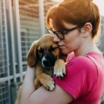 Bringing Shelters and Owners Together: The Story Behind Rescue Dog Adoption Websites