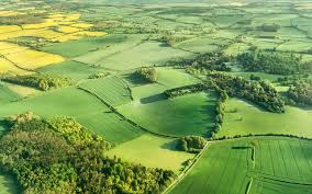 Planning Permission for Land Made Clear: The Role of Land Promotion